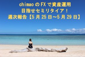 FX収支報告5/25～5/29