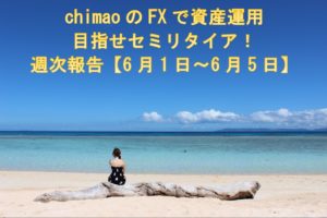 FX収支報告6/1～6/5
