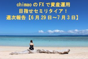FX収支報告6/29～7/3