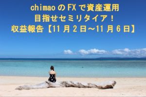 FX収益報告11/2～11/6