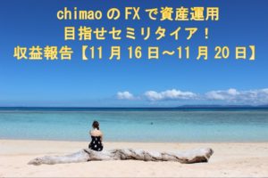 FX収支報告11/16～11/20